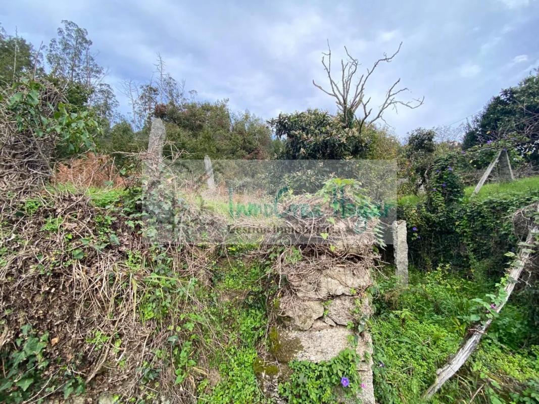 Land for sale in Ponteareas, Pontevedra photo 5