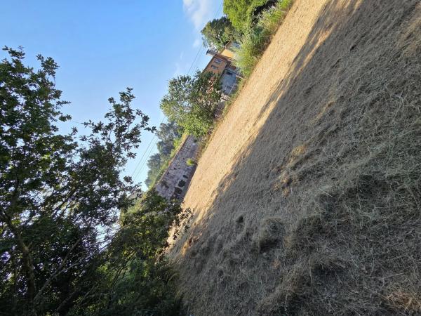 Terreno en calle Briabi, 1 photo 2