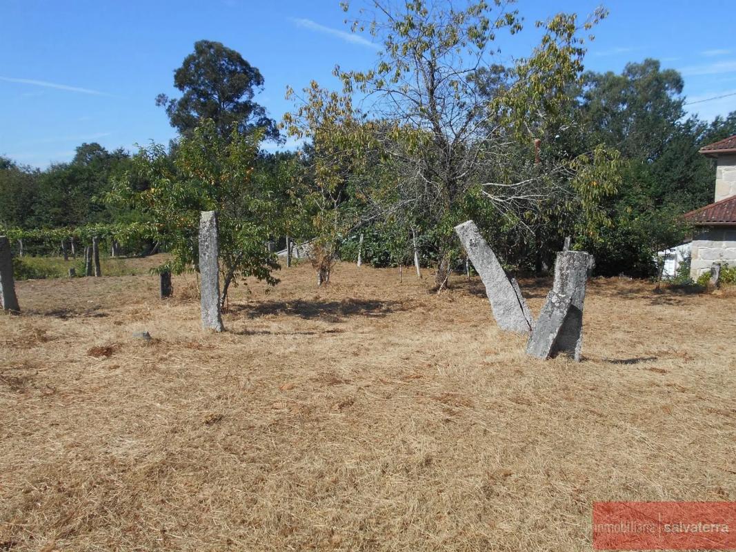 Terreno en venta en Salvaterra de Miño, Pontevedra photo 5