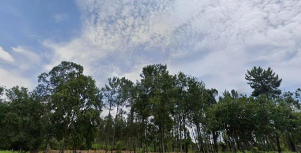 Terreno en Lamas s/n Sn photo 2