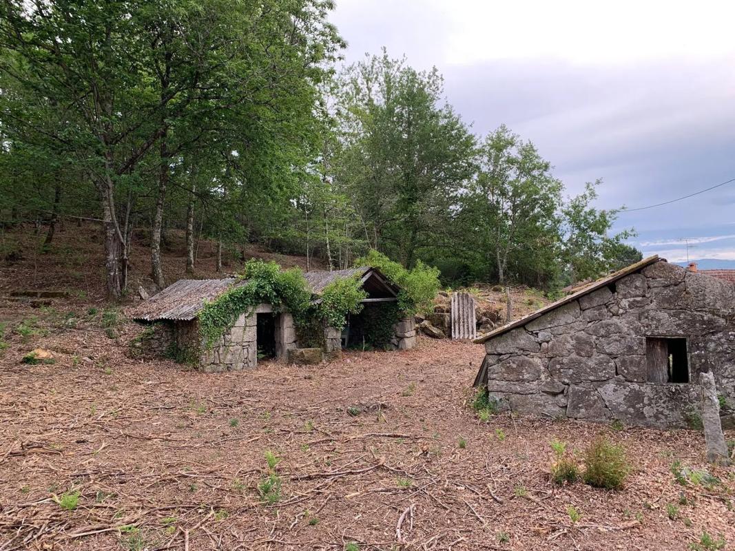 Terreno en venta en Mondariz, Pontevedra photo 4