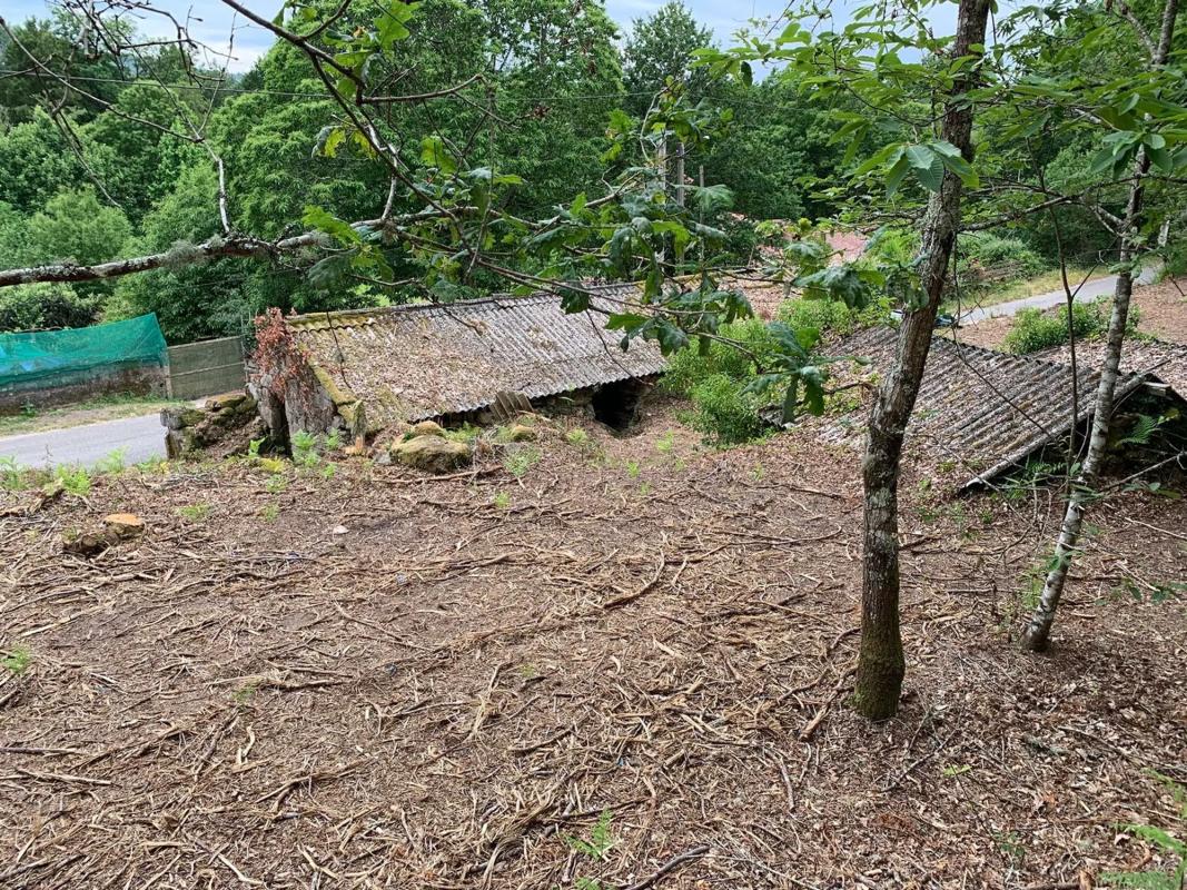 Terreno en venta en Mondariz, Pontevedra photo 5