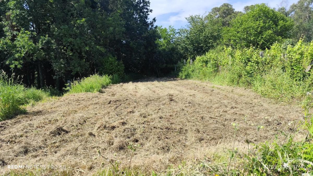 Land for sale in As Neves, Pontevedra photo 2