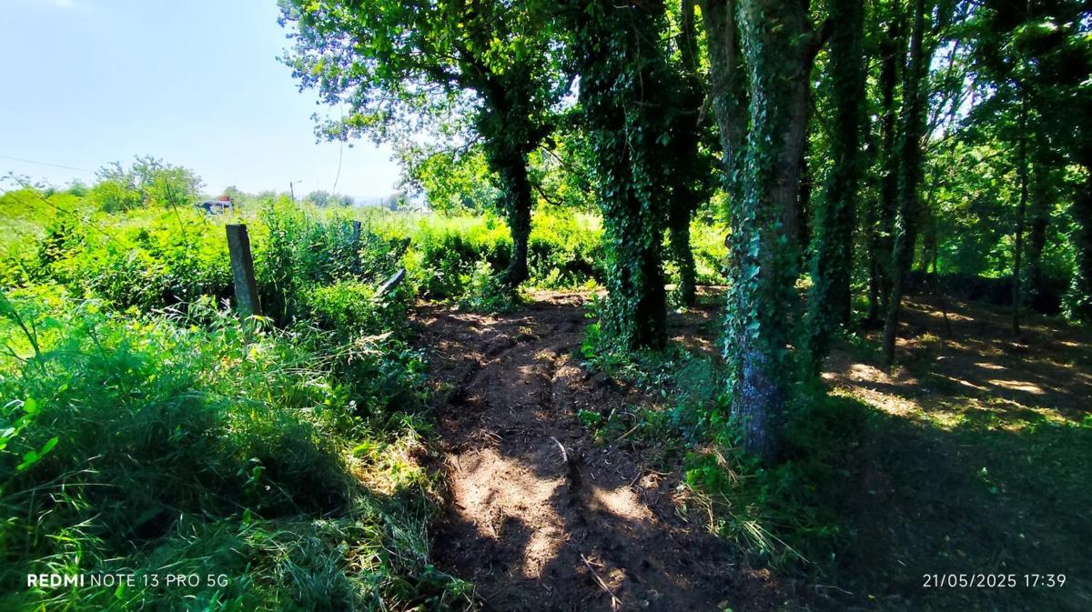 Land for sale in As Neves, Pontevedra photo 4