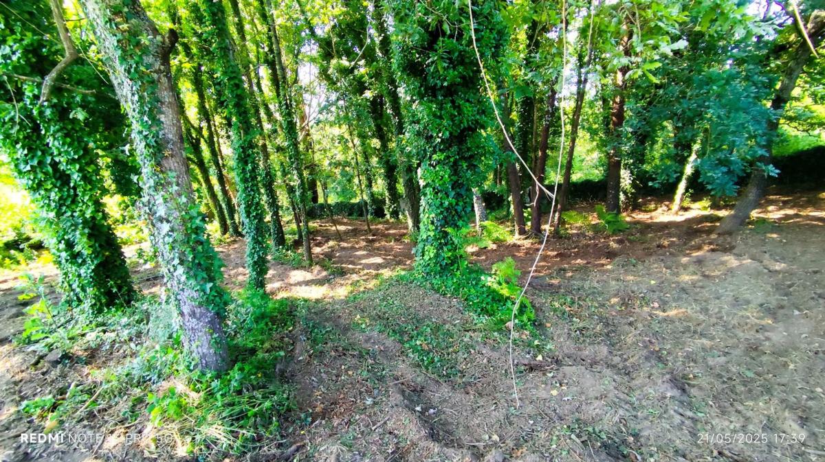 Land for sale in As Neves, Pontevedra photo 5