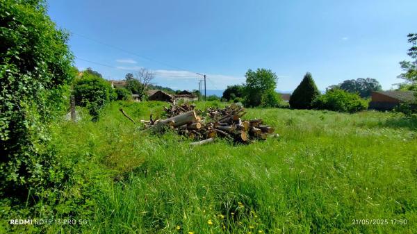 Terreno en Po-402 photo 4