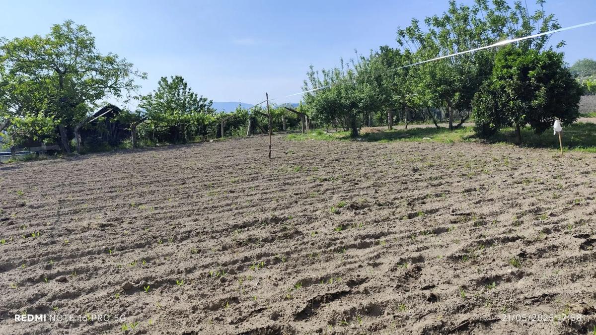 Участок земли на продажу в Ас Невеш, Пontevedra photo 2
