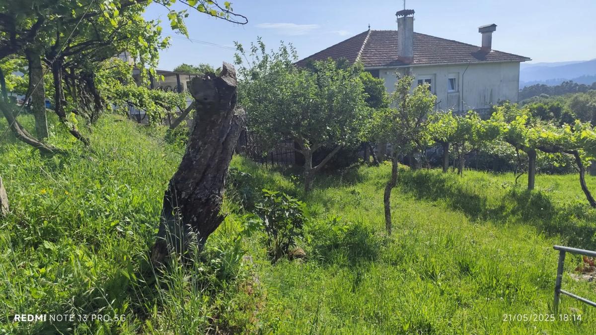 Участок земли на продажу в Ас Невеш, Пontevedra photo 2