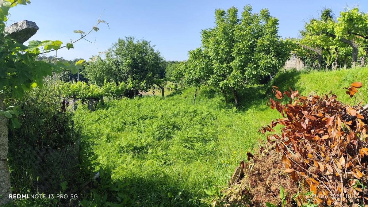Участок земли на продажу в Ас Невеш, Пontevedra photo 5