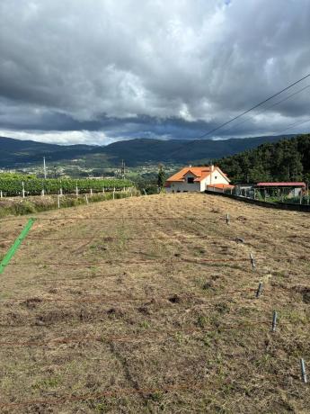 Terreno en calle a Igrexa s/n photo 4