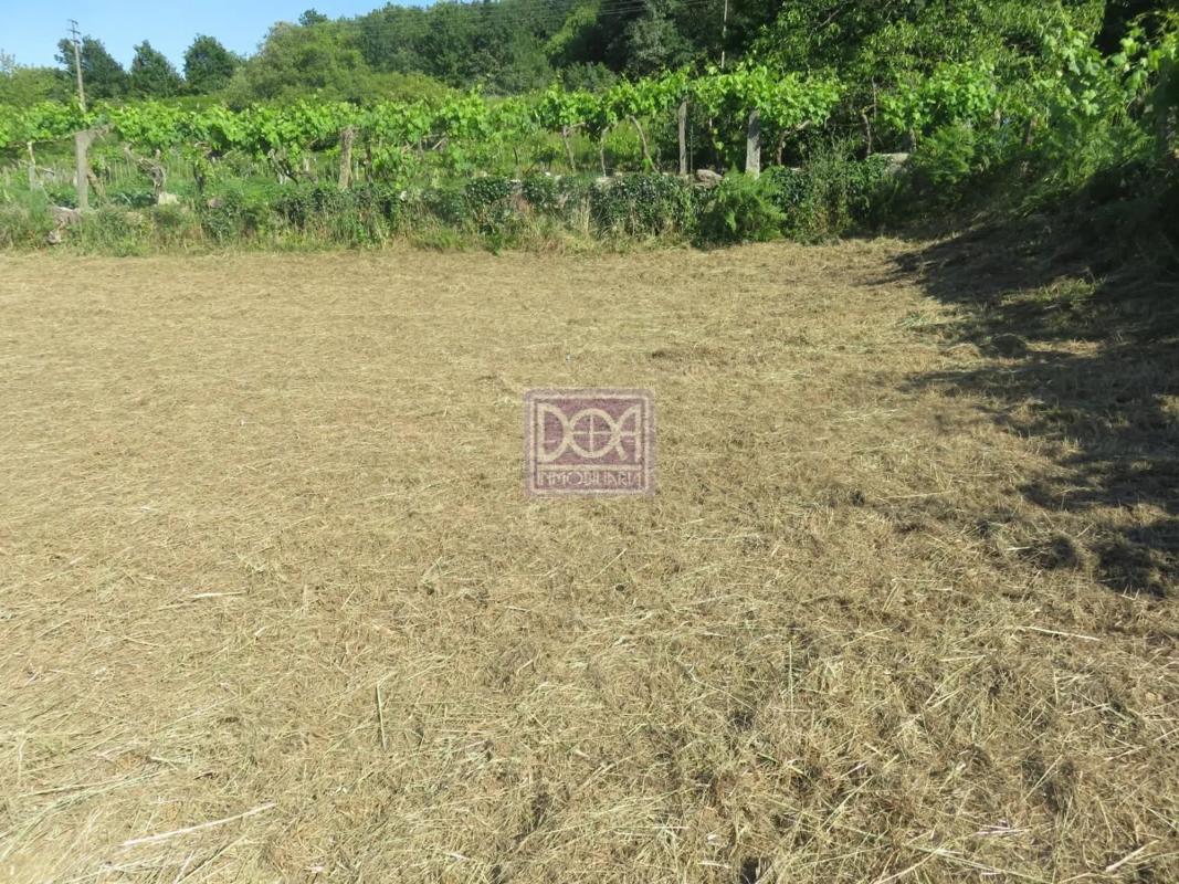 Terreno en venta en Mondariz, Pontevedra photo 4