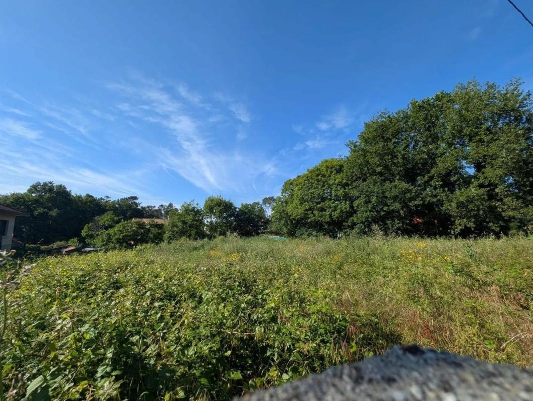 Terreno en venta en Ponteareas, Pontevedra photo 5