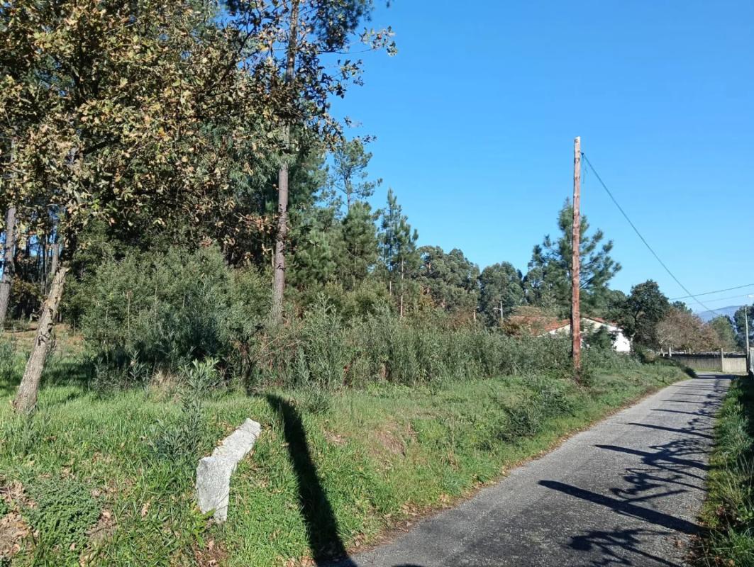 Działka na sprzedaż w Salvaterra de Miño, Pontevedra photo 2