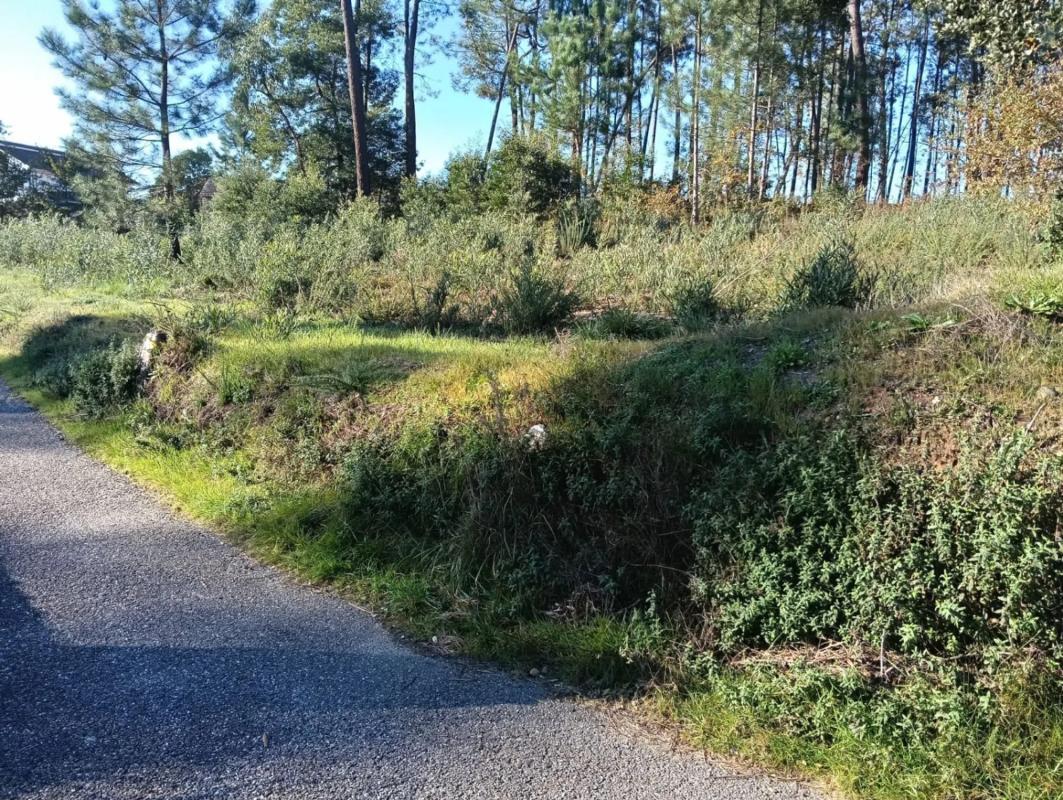 Działka na sprzedaż w Salvaterra de Miño, Pontevedra photo 5