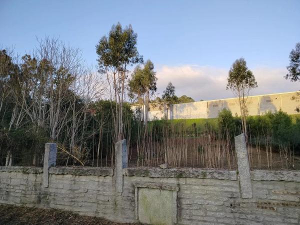 Terreno en camino de Mondariz, km 2 photo 4