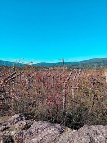 Terreno en Ponteareas photo