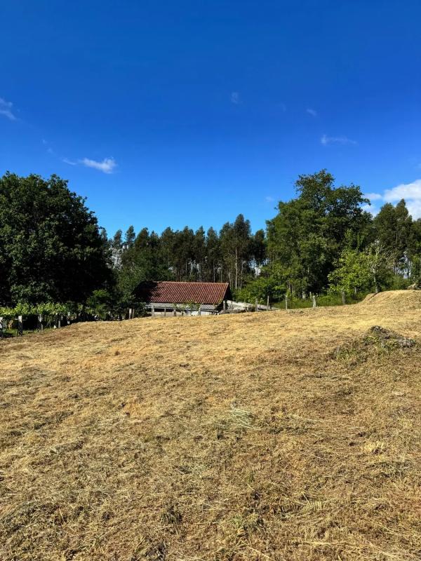 Terreno en venta en Mondariz, Pontevedra photo 3
