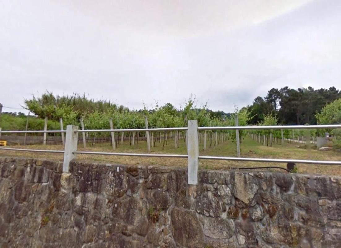 Terreno en venta en Crecente, Pontevedra photo 4