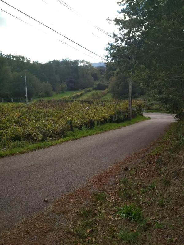 Land for sale in Ponteareas, Pontevedra photo 2