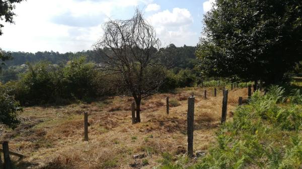 Terreno en Lugar a Cavadiña, 10 thumbnail 1