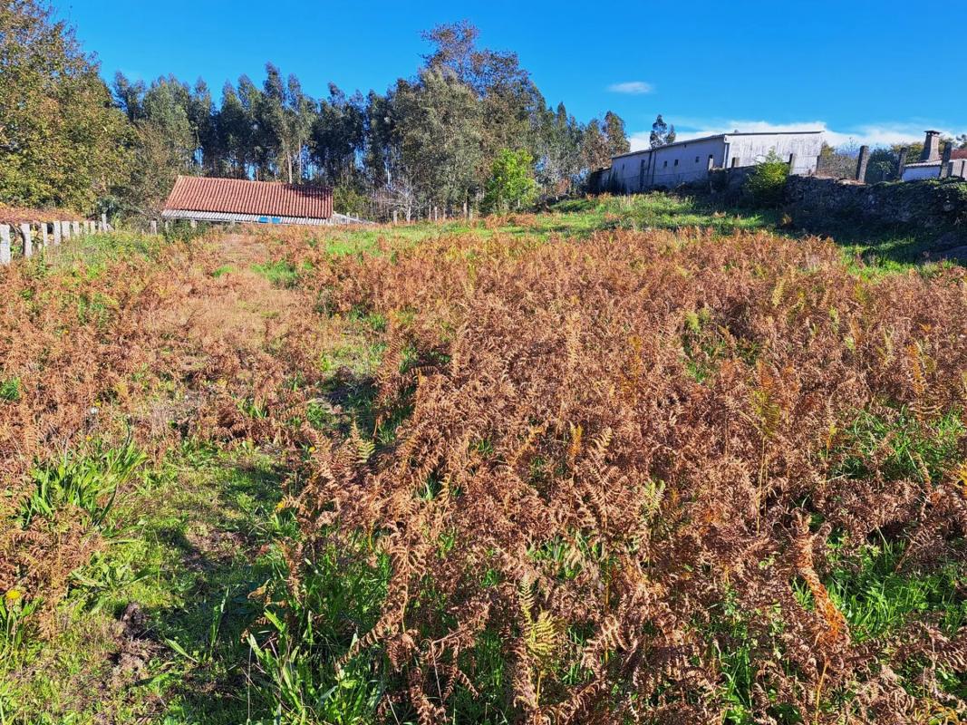 Terreno en venta en Mondariz, Pontevedra photo 5
