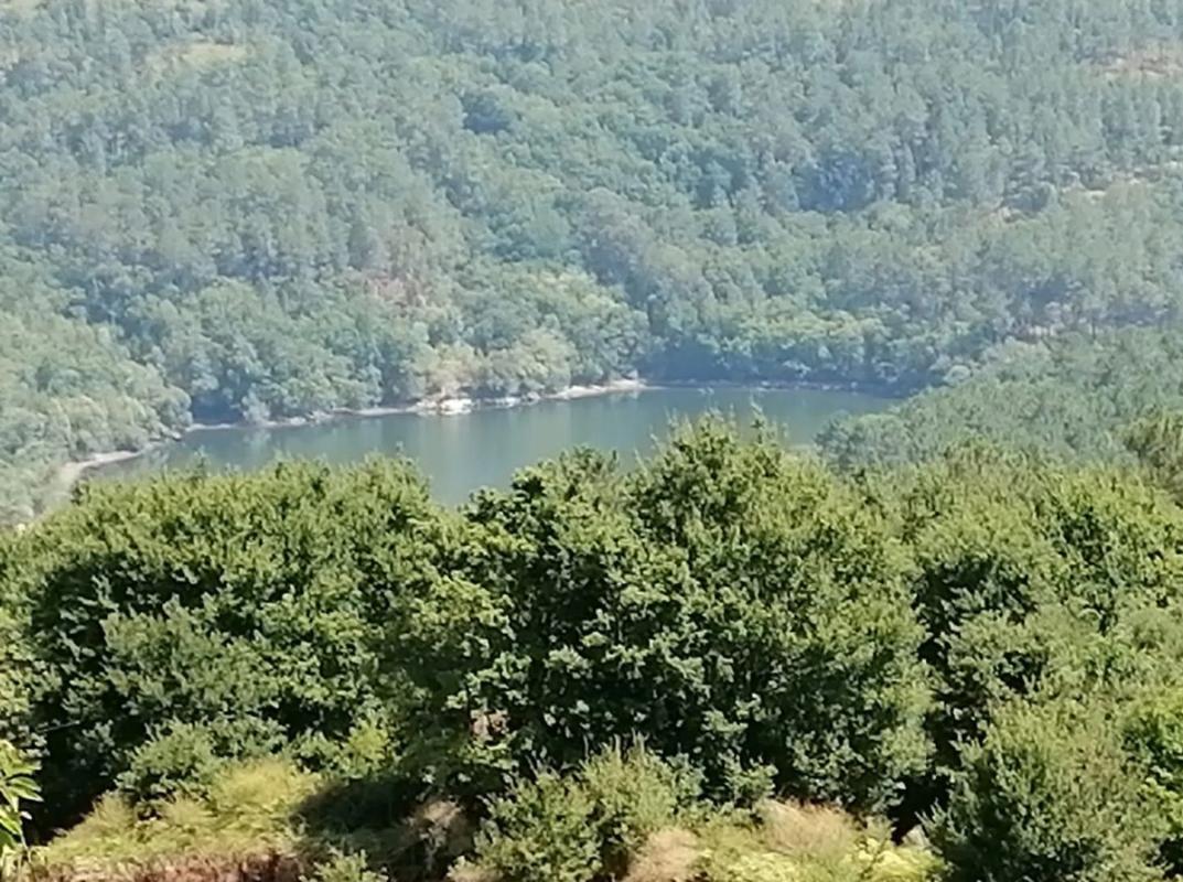 Terreno en venta en Crecente, Pontevedra photo 5