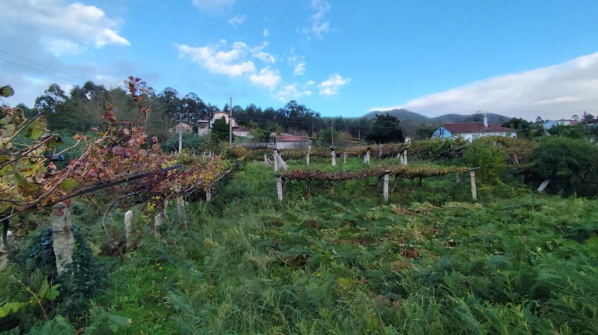 Terreno en venta en As Neves, Pontevedra photo 2