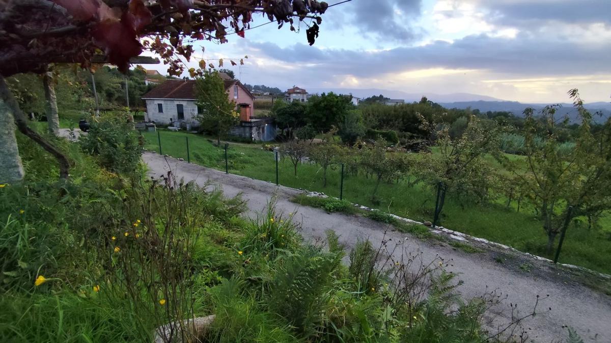 Terreno en venta en As Neves, Pontevedra photo 3
