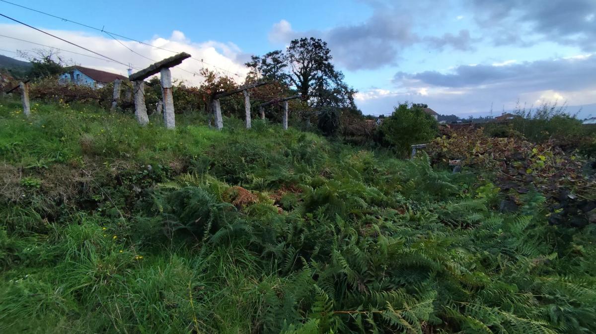 Terreno en venta en As Neves, Pontevedra photo 4