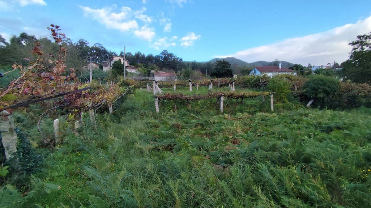 Terreno en venta en As Neves, Pontevedra photo 5