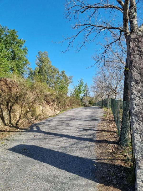Działka na sprzedaż w Ponteareas, Pontevedra photo 1