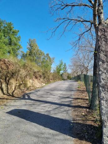 Terreno en calle gulans, 60 photo 1