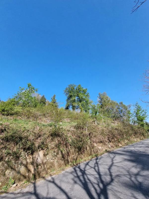Działka na sprzedaż w Ponteareas, Pontevedra photo 5