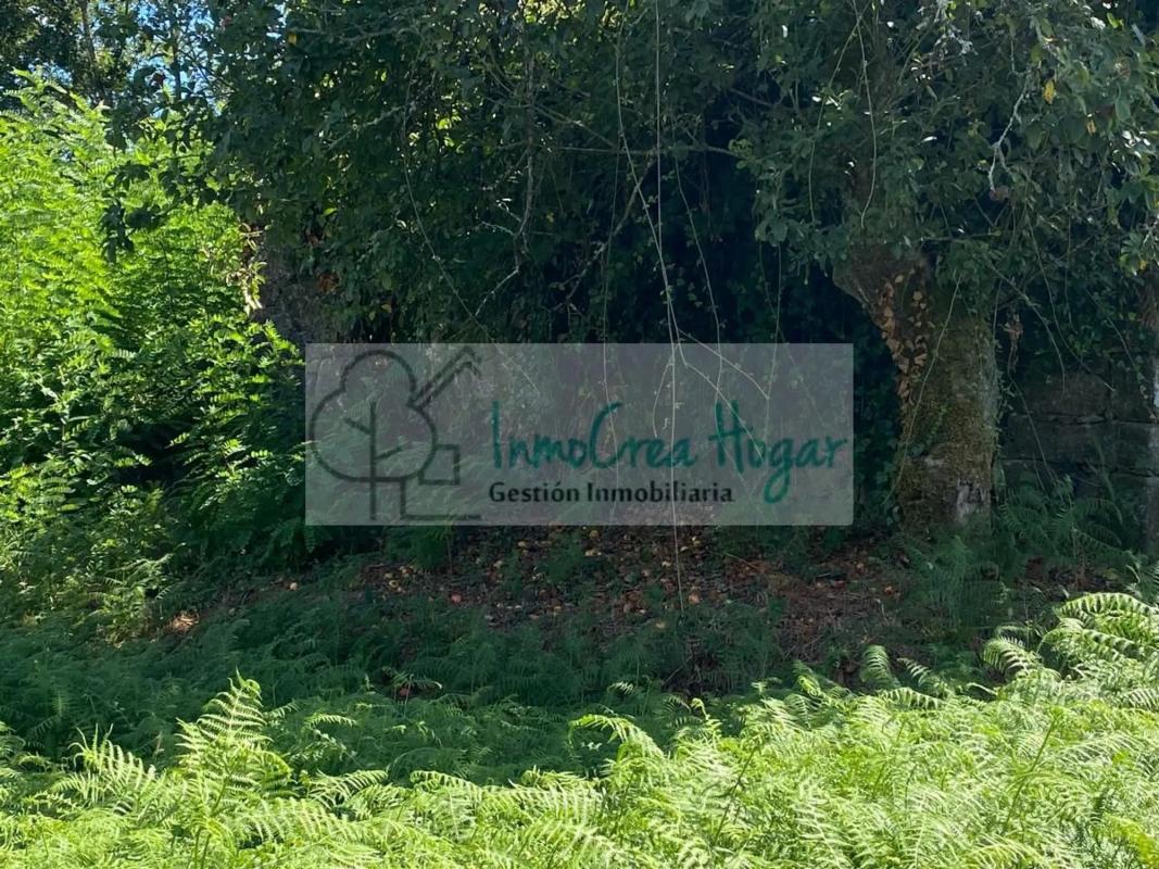 Land for sale in Ponteareas, Pontevedra photo 5