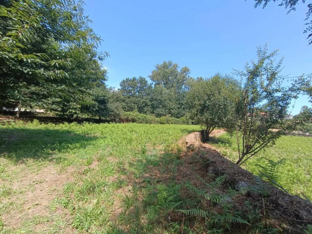 Land for sale in Mondariz, Pontevedra photo 3