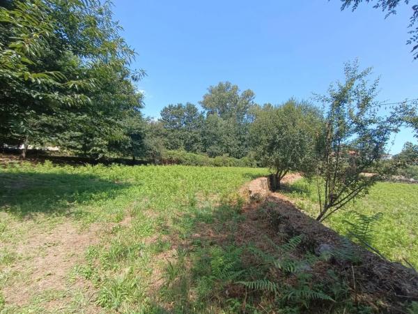Terreno en Barro Carballal photo 3