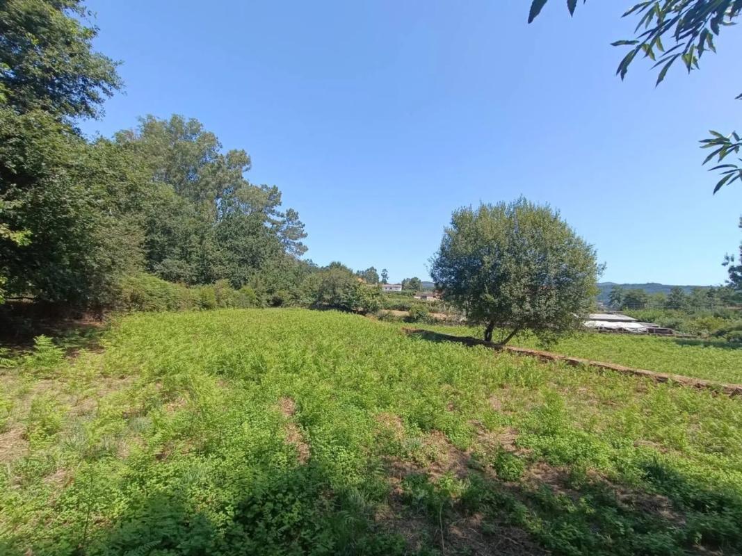 Land for sale in Mondariz, Pontevedra photo 4