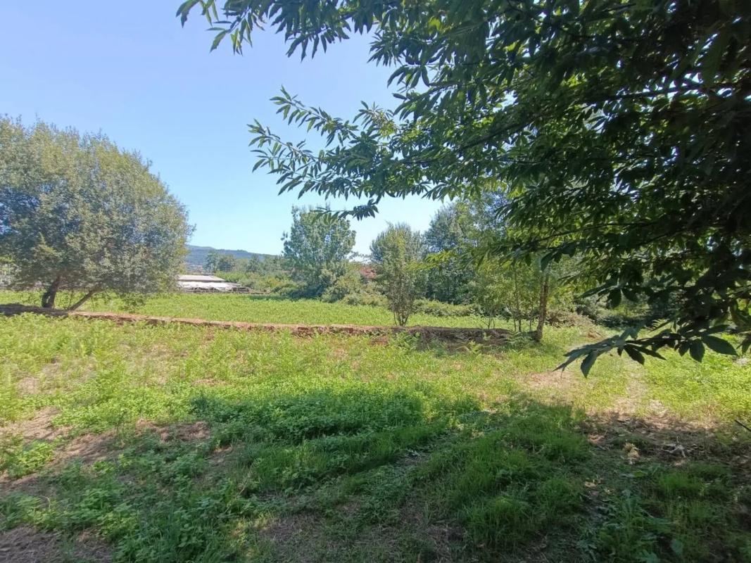 Land for sale in Mondariz, Pontevedra photo 5