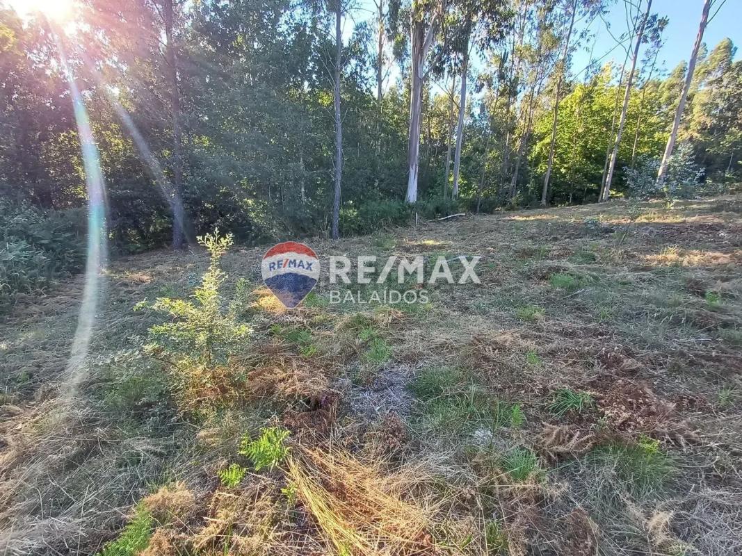 Land for sale in A Cañiza, Pontevedra photo 2