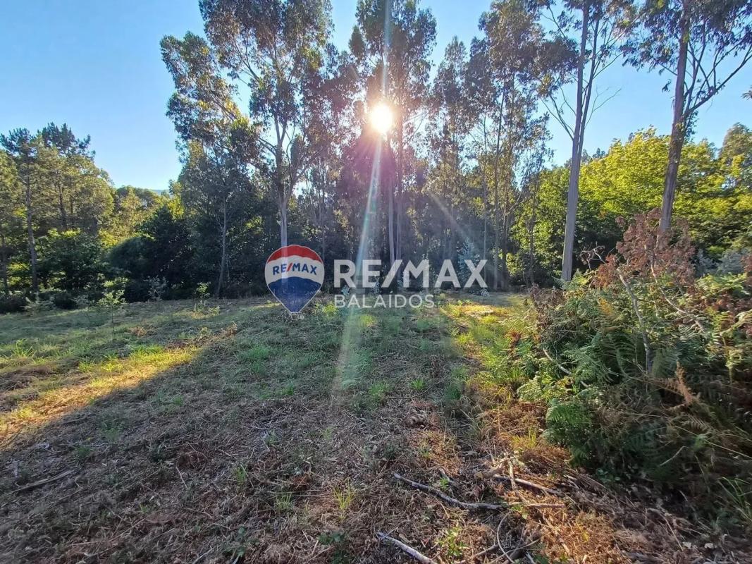 Land for sale in A Cañiza, Pontevedra photo 4