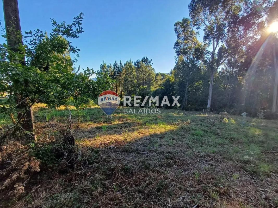 Land for sale in A Cañiza, Pontevedra photo 5