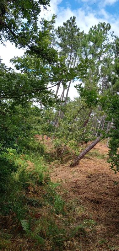 Terreno en venta en Salvaterra de Miño, Pontevedra photo 4