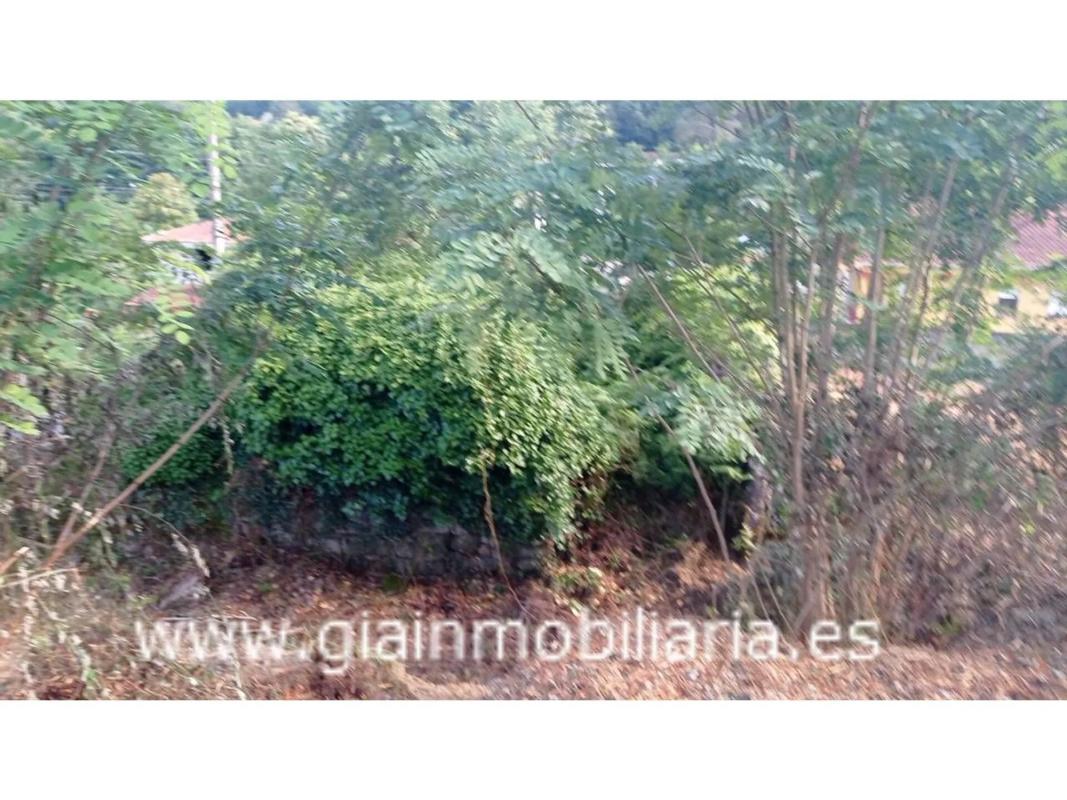 Land for sale in Ponteareas, Pontevedra photo 5