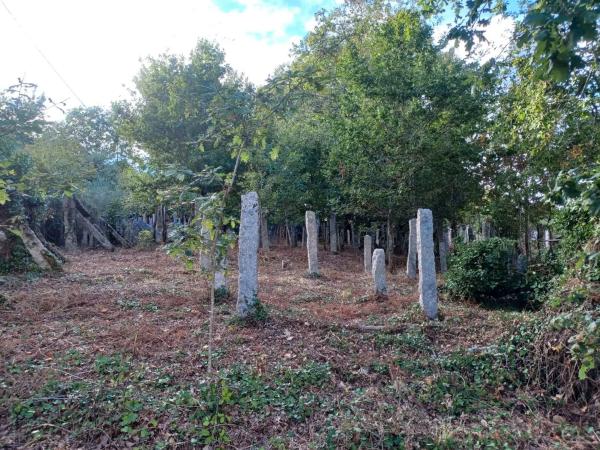 Terreno en Sotolobre- Lugar de Buenos días, 11 photo 1