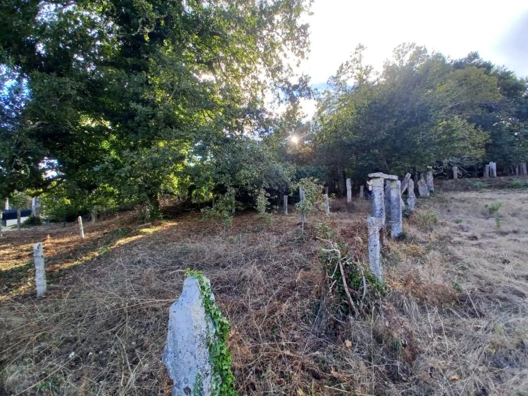 Land for sale in Salvaterra de Miño, Pontevedra photo 2