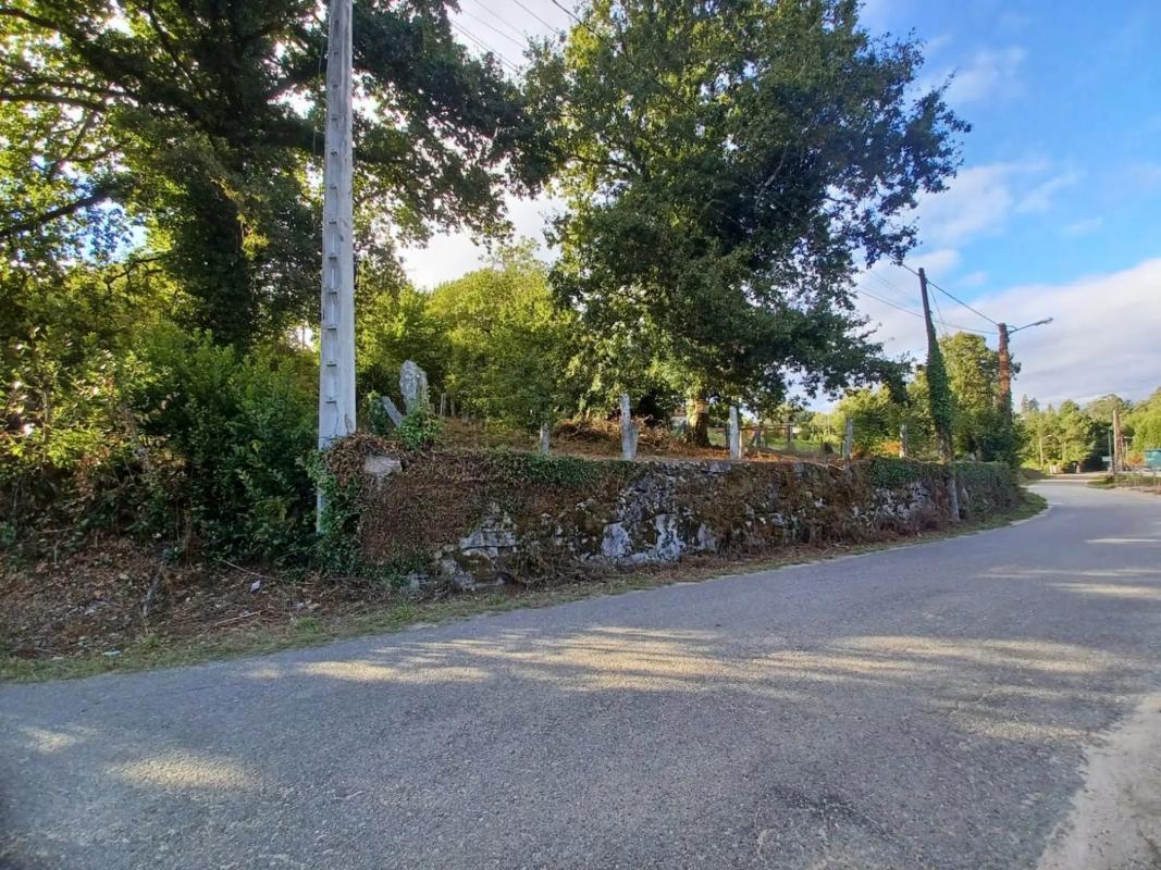 Land for sale in Salvaterra de Miño, Pontevedra photo 3