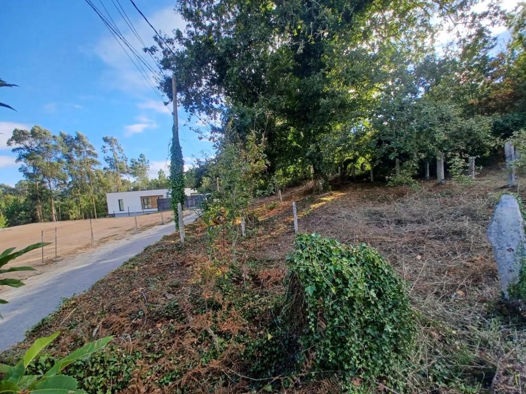 Land for sale in Salvaterra de Miño, Pontevedra photo 4