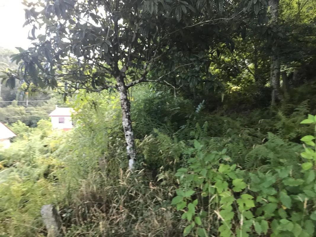 Działka na sprzedaż w Arbo, Pontevedra photo 3