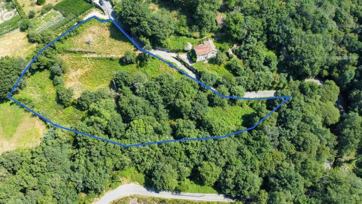 Land for sale in Covelo, Pontevedra photo 2
