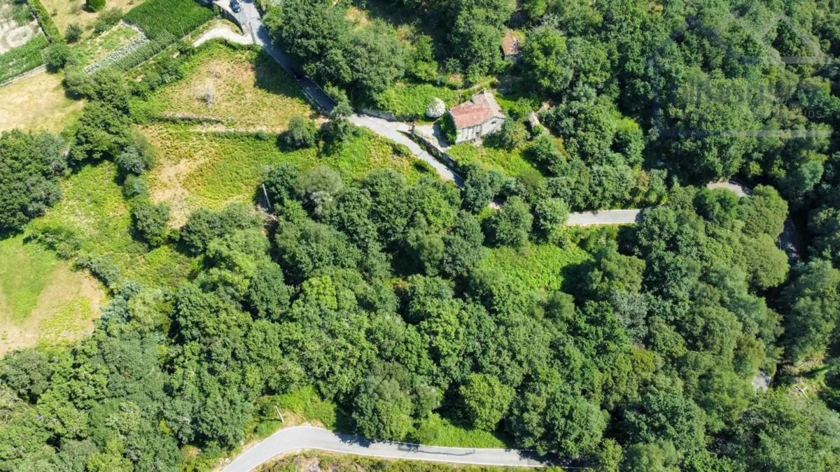 Land for sale in Covelo, Pontevedra photo 4
